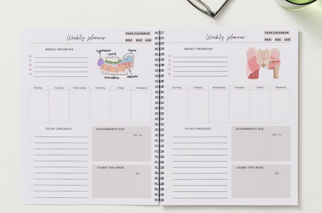 Physical Therapy Anatomy Academic Planner 2024-2025 (digital Download) - Etsy