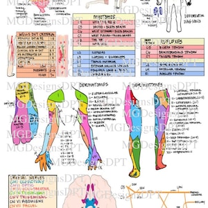 Physiotherapie-Anleitungsbogen | PT Schulfach, Spickzettel, Bildung | digitaler Download 1 Seite
