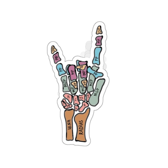 Rock On Hand Anatomy Sticker: PT OT Therapy Gift