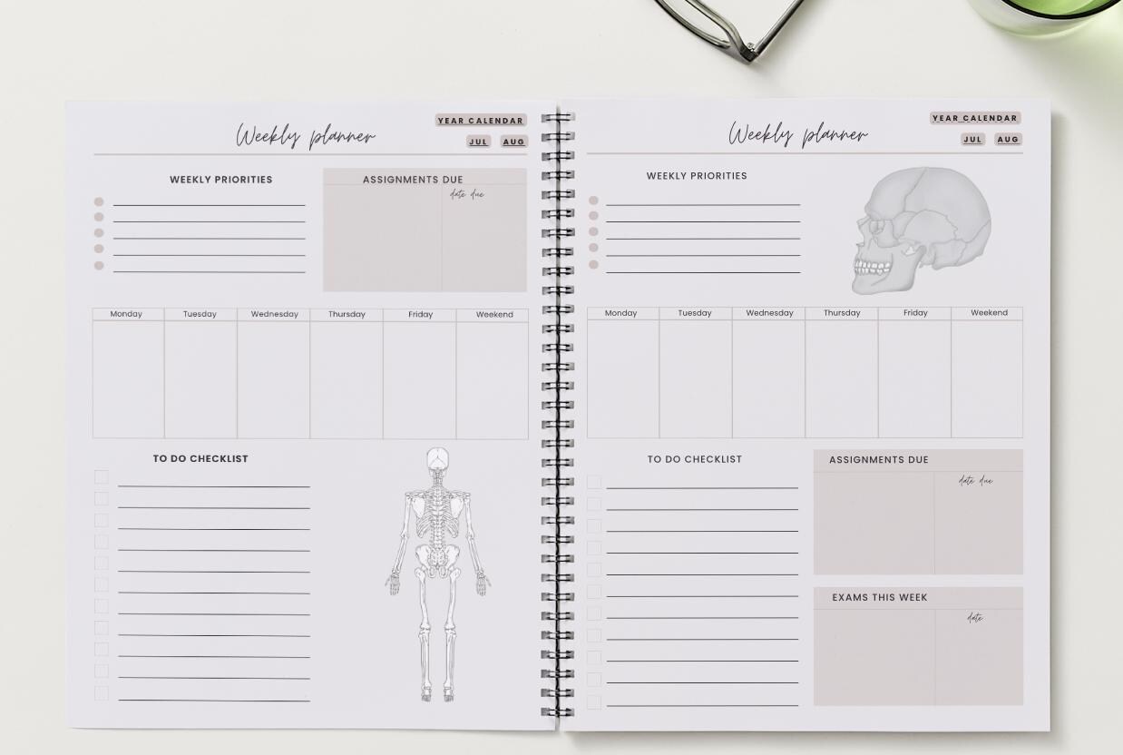 Physical Therapy Anatomy Academic Planner 2024-2025 (digital Download) - Etsy