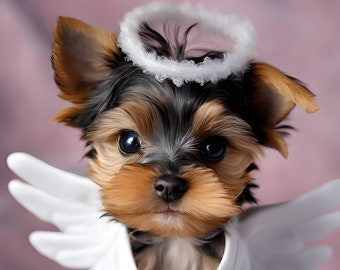 May include: A small Yorkshire Terrier puppy wearing a white angel costume with wings and a halo. The puppy is sitting on a pink surface and looking directly at the camera. The text "Yorkie Chic" is visible in the lower right corner of the image.