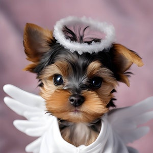 Yorkie Angel - Wall Art - Home Office Decor - Yorkie Gift - Digital Download - Downward Scalable from 24x36