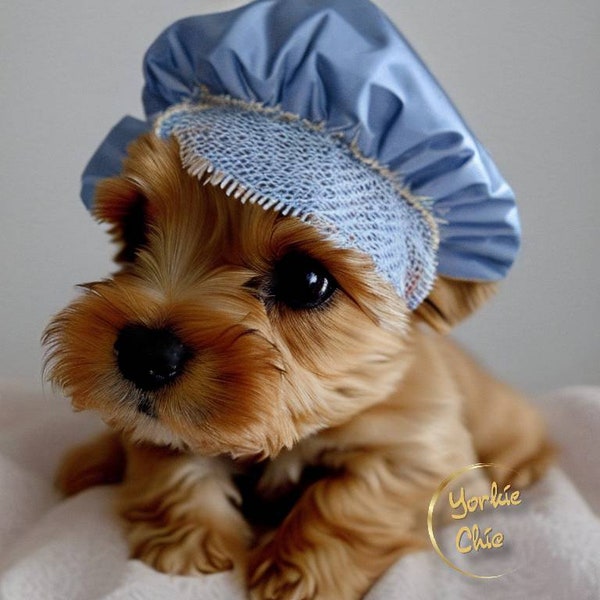 Shower Cap yorkie Cutie: Keeping It Stylish Wall Art - Home Decor - nursery - office -Digital Download - Downward Scalable from 20x20