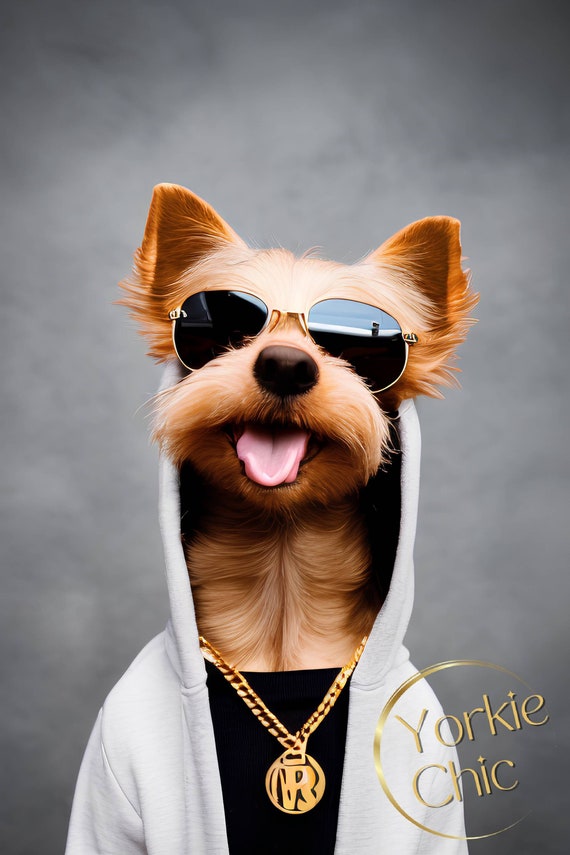 Worldstar Yorkie in a Hoodie Gold chains Wall Art Home Office