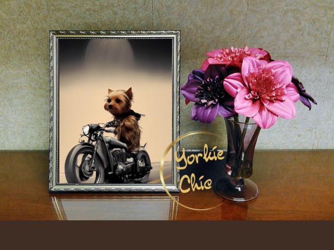 Yorkie Easy Rider Wall Art Home Office Decor Yorkie Gift Etsy