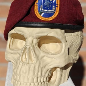 May include: A burgundy beret with a black leather band sits atop a cream-colored skull. The beret features a patch with a blue background, a winged figure, and the words "NIGHT STALKERS". The skull has detailed facial features.
