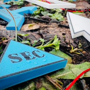 Pu&ograve; includere: Un cartello triangolare blu con la parola "SEC" stampata in lettere nere. Il cartello &egrave; sdraiato su un letto di foglie marroni e piante verdi.