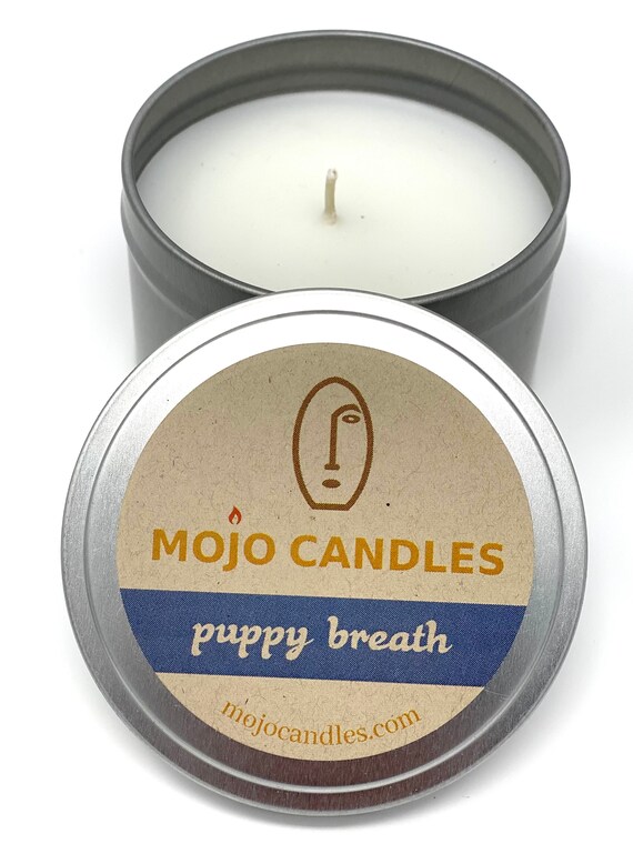 Why Does My Puppys Breath Smell Metallic