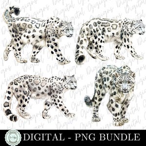 Trendy Snow Leopard PNG Clipart Bundle, Wild Animal Sublimation Instant Download T-Shirt PNG Design, Watercolor Animal Print Graphic Designs