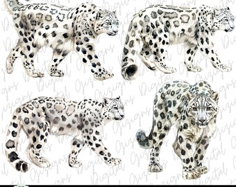 Trendy Snow Leopard PNG Clipart Bundle, Wild Animal Sublimation Instant Download T-Shirt PNG Design, Watercolor Animal Print Graphic Designs