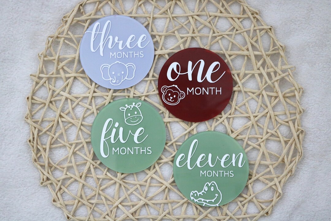 12 Jungle Theme Baby Milestone Markers, 4" Milestone Markers, 12 Month ...
