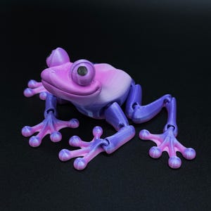 3D Printed Frog, Flexi Frog 3D Model, Trendy Desktop Toy for Kids and Adults, Articulated Frog, 3D Model, 3D Printed Gift