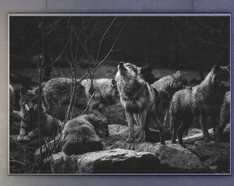 Wolf Wall Art,Black and White Animaş Prints,Wolf  Pack Gifts, Wildlife Photograph,Wolf Poster,Wall Wall Art,