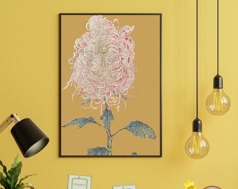 Floral Wall Pictures, Art Prints, Floral Decor, Botanical Wall Art, flower wall art prints, Vintage Flowers,Floral Art Print Unframed