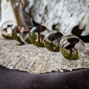 Plugs mit echten Pilzen und Moos
