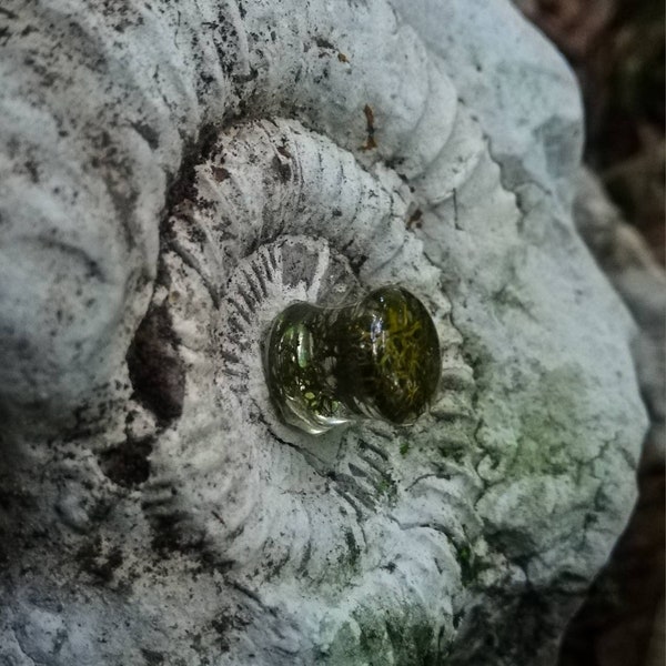 Ear plug filled with real moss