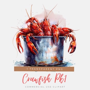 May include: A watercolor painting of a metal pot filled with red crawfish. The crawfish are arranged in a cluster, with their tails sticking out of the pot. The pot is sitting on a white background with a light blue watercolor wash.