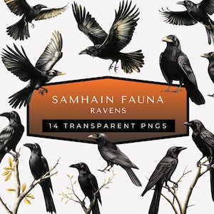 May include: Digital artwork showing several black ravens, some perched on branches and others in flight. The image includes text that reads "Samhain Fauna Ravens" and "14 Transparent PNGs."