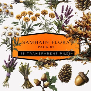 Samhain Clipart - Mystical Autumn Illustrations - Fall Wildflower Illustrations - Herbal PNG Clipart - Floral PNG Bundle