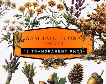 Samhain Clipart - Mystical Autumn Illustrations - Fall Wildflower Illustrations - Herbal PNG Clipart - Floral PNG Bundle