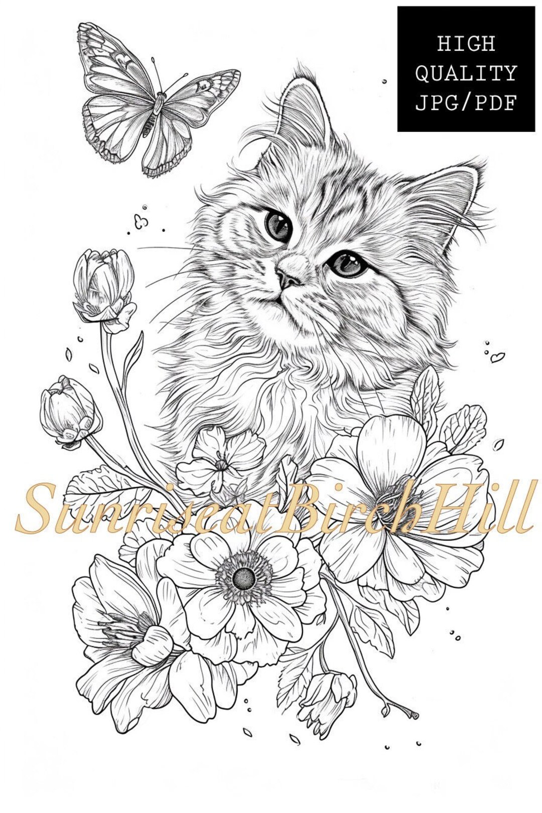 Persian Cat Coloring Page/sheet, Adult Printable Coloring Page Pet
