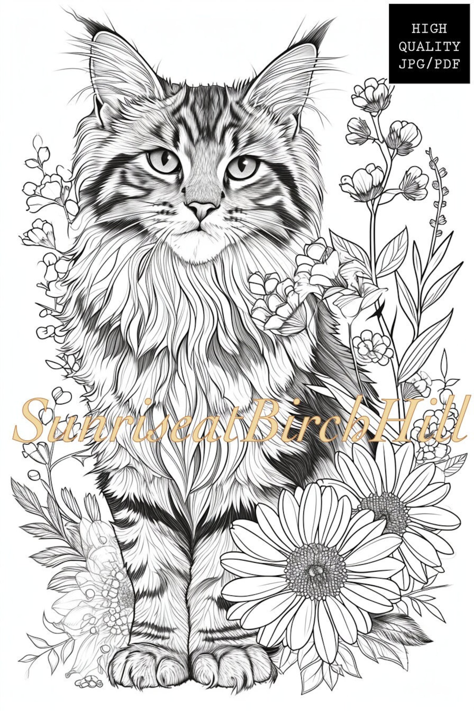 Maine Coon Cat Coloring Page/sheet, Adult/teen Printable Coloring Page ...