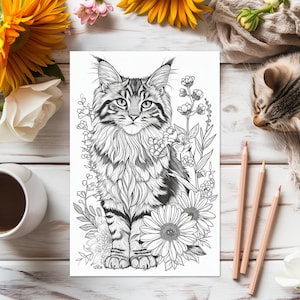 Maine Coon Cat Kolorowanka/Arkusz, Dorosły/Nastolatek Kolorowanka Do Wydruku Rasy Kociaków Maine Coon, Insta Download, Zdrowie Psychiczne