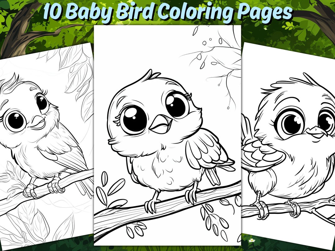 10 Adorable Baby Bird Coloring Pages for Little Artists
