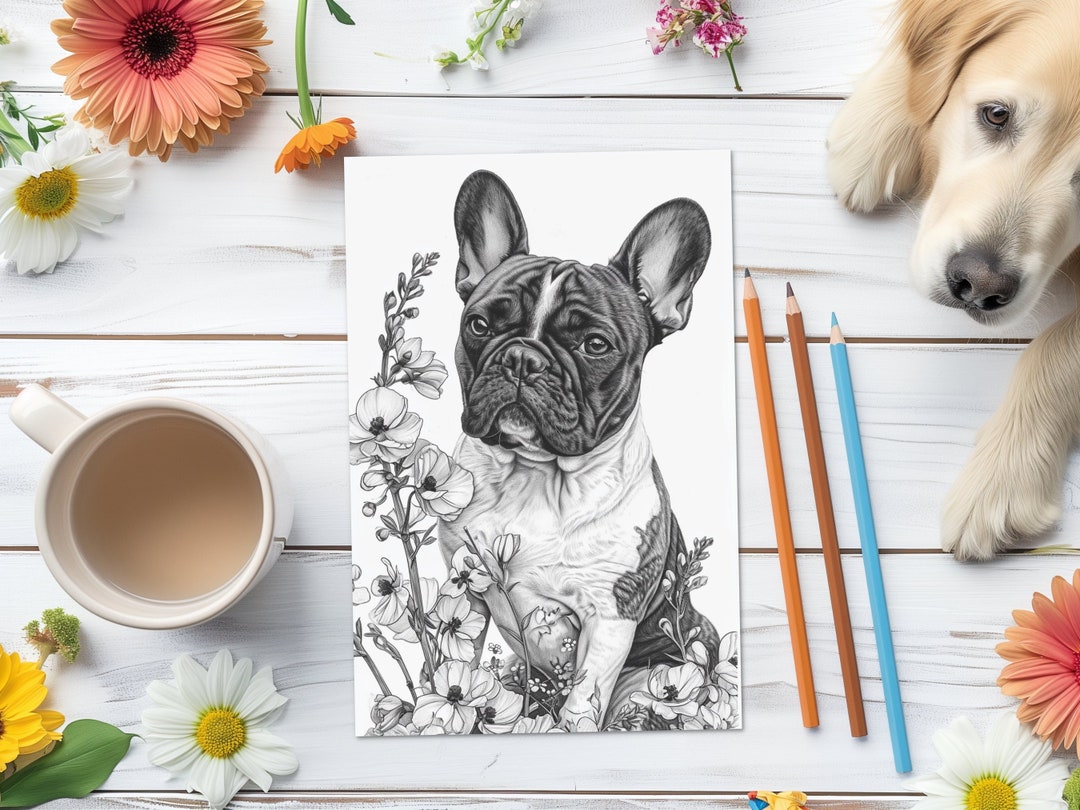 French Bulldog Coloring Page/sheet, Adult/teen Printable Coloring Page