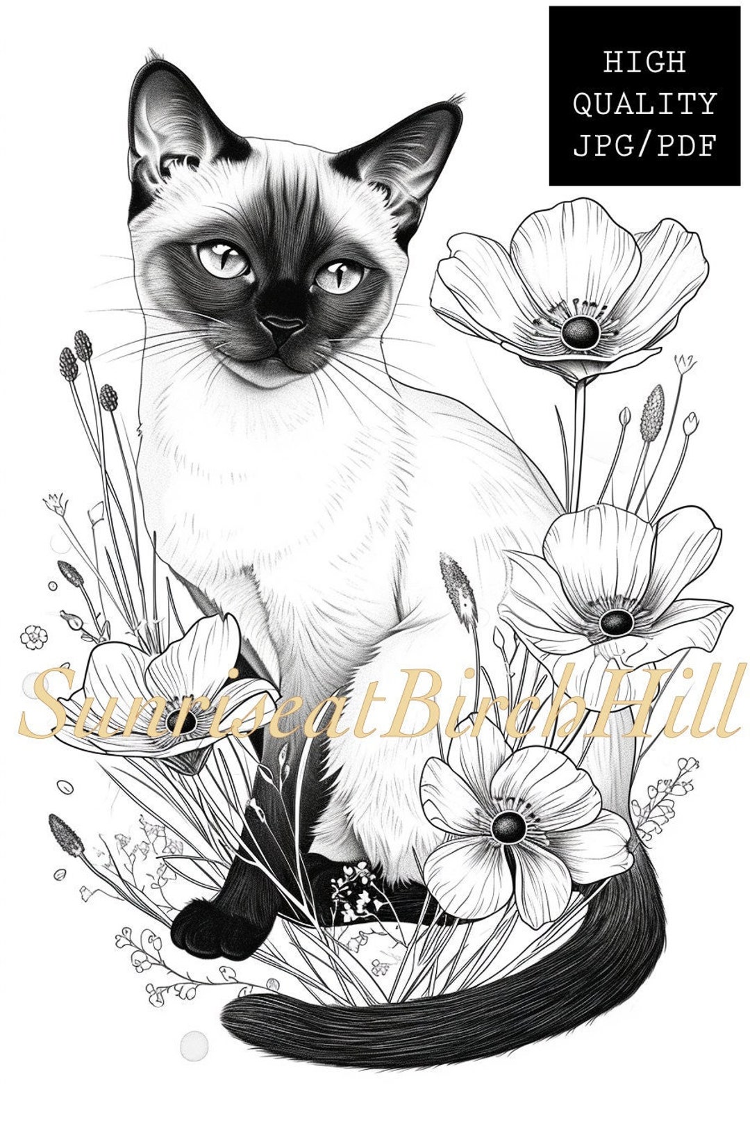 Siamese Cat Coloring Page/sheet, Adult/teen Printable Coloring Page of