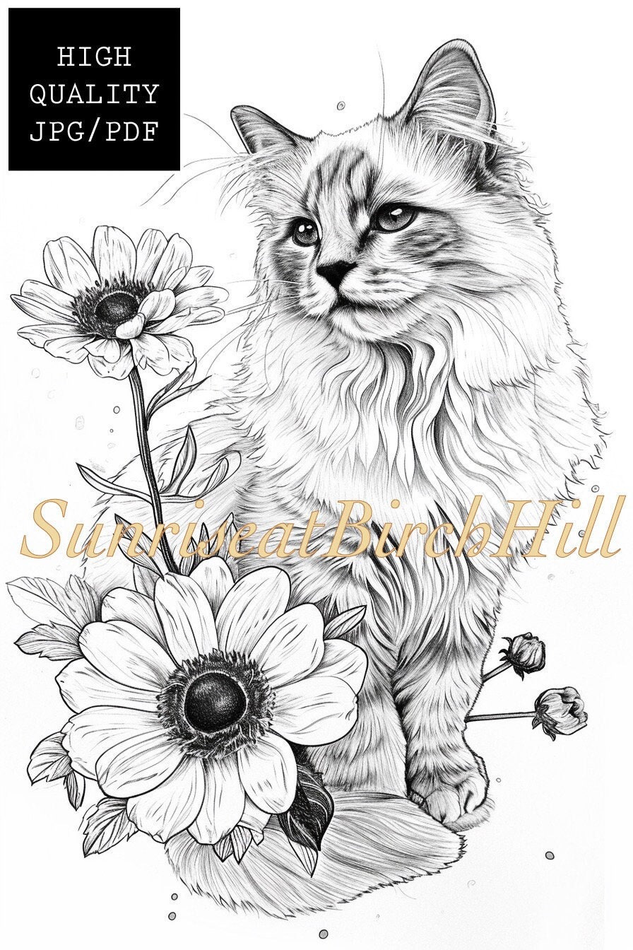 Ragdoll Cat Coloring Page/sheet, Adult/teen Printable Coloring Page Pet ...