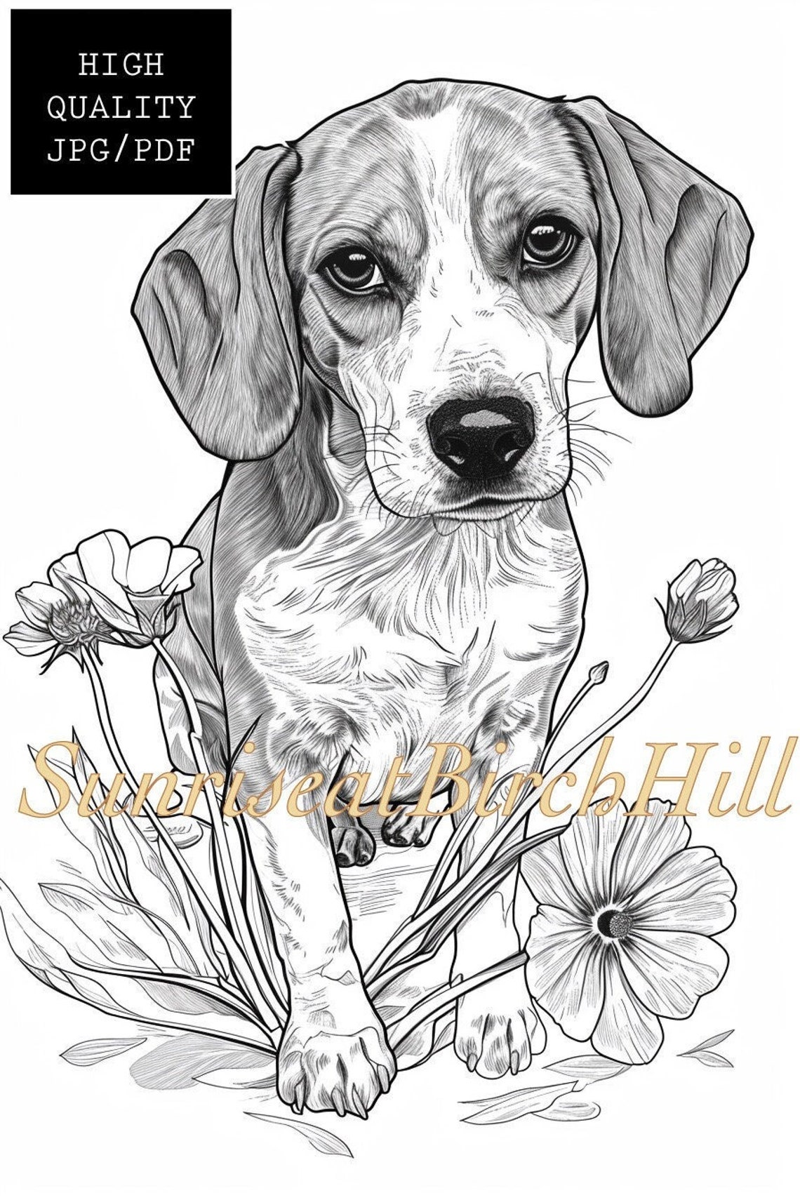 Beagle Dog Coloring Page/sheet, Adult/teen Printable Coloring Page of ...