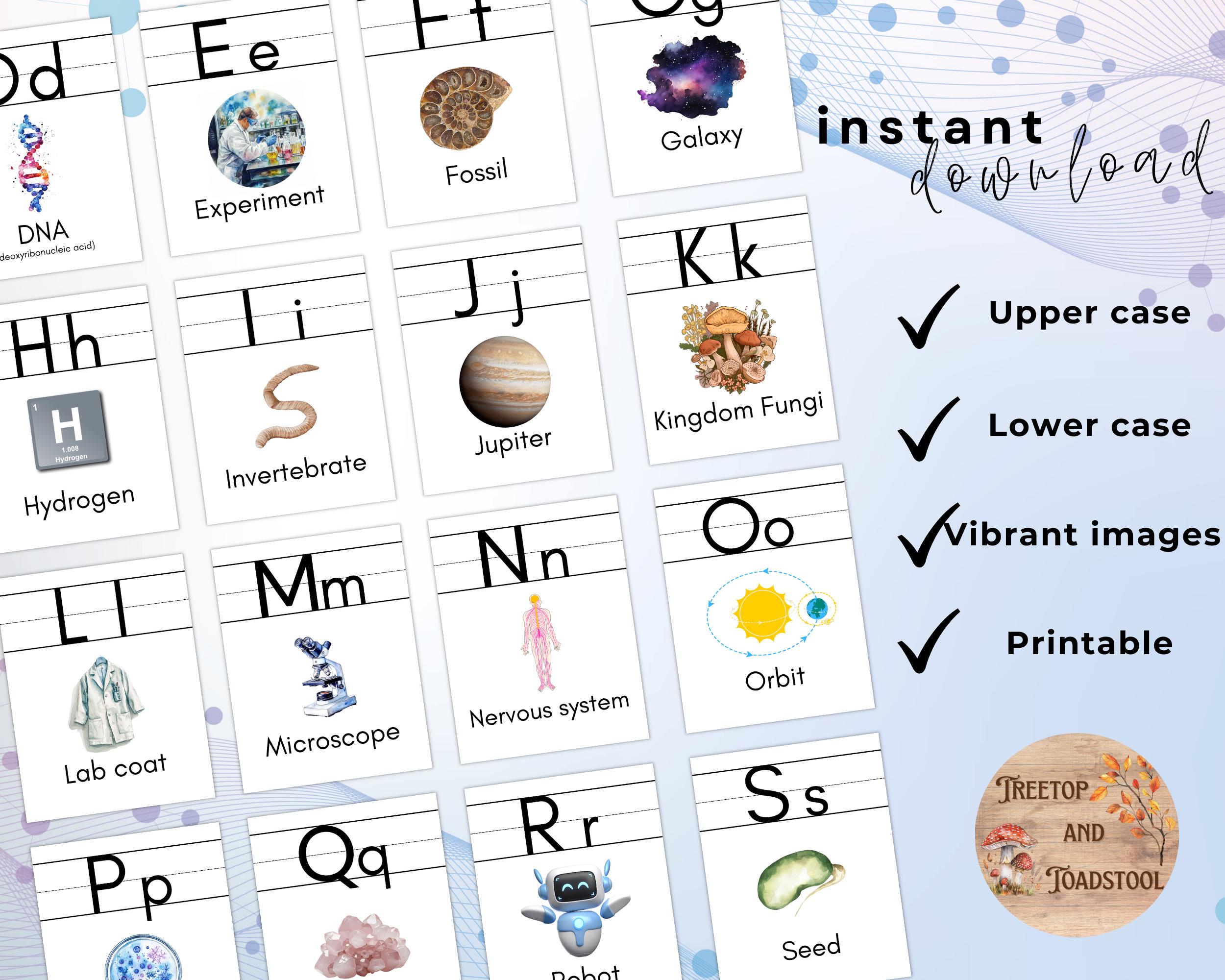Science ABC Poster Set, Printable STEM Themed Classroom Art, Instant ...