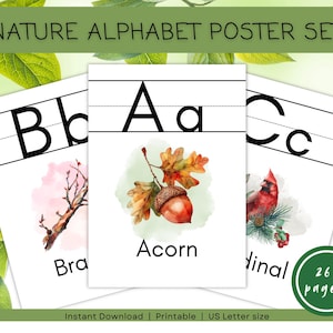 May include: Nature alphabet poster set featuring watercolor illustrations. The set includes three posters with the letters B, A, and C. The "A" poster shows an acorn, the "B" poster shows a branch, and the "C" poster shows a cardinal.
