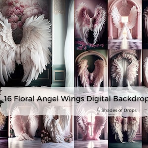 16 x Digital Backdrops, Angel Wings Digital Backgrounds, Maternity Backdrop Overlays, Studio Backdrops, Photoshop Fine Art Textures