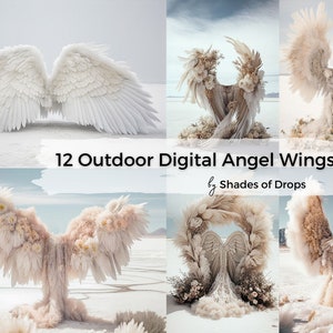 12 x Outdoor Digital Backgrounds, Angel Wings Digital drops, Maternity Backdrop Overlays, Studio Backdrops, Photoshop Fine Art Textures