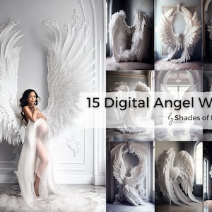 15 x Digital Backdrops, Angel Wings Digital Backgrounds, Maternity Backdrop Overlays, Studio Backdrops, Photoshop Fine Art Textures