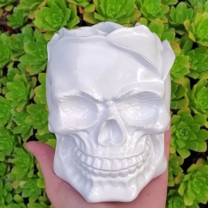 May include: White ceramic skull planter with a rose-shaped opening at the top. The skull has a detailed design with a prominent jawline and teeth.