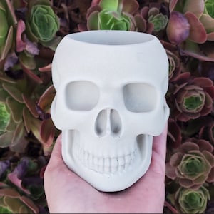 May include: White ceramic skull planter with a smooth, matte finish. The skull has a detailed face with eye sockets, a nose, and a toothy grin. The planter is perfect for small plants or succulents.