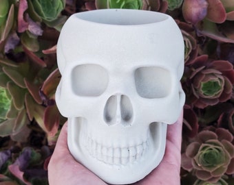 May include: White ceramic skull planter with a smooth, matte finish. The skull has a detailed face with eye sockets, a nose, and a toothy grin. The planter is perfect for small plants or succulents.