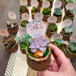 May include: A collection of small succulent plants in terracotta pots with a woodland animal theme. The pots are decorated with a thank you tag that says "Thank you for celebrating baby James, October 22, 2023".