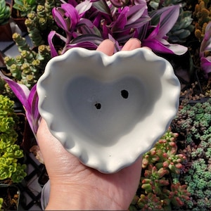 Heart Cement Planter