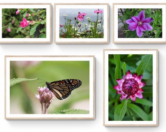 5 descargas digitales, fotografía digital, flores, mariposa, monarca, paisaje, arte de pared, imprimible, instantáneo, jpg, fondo de pantalla, fondo