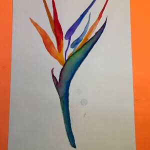 Bird of Paradise Flower Watercolor Painting, Tropical