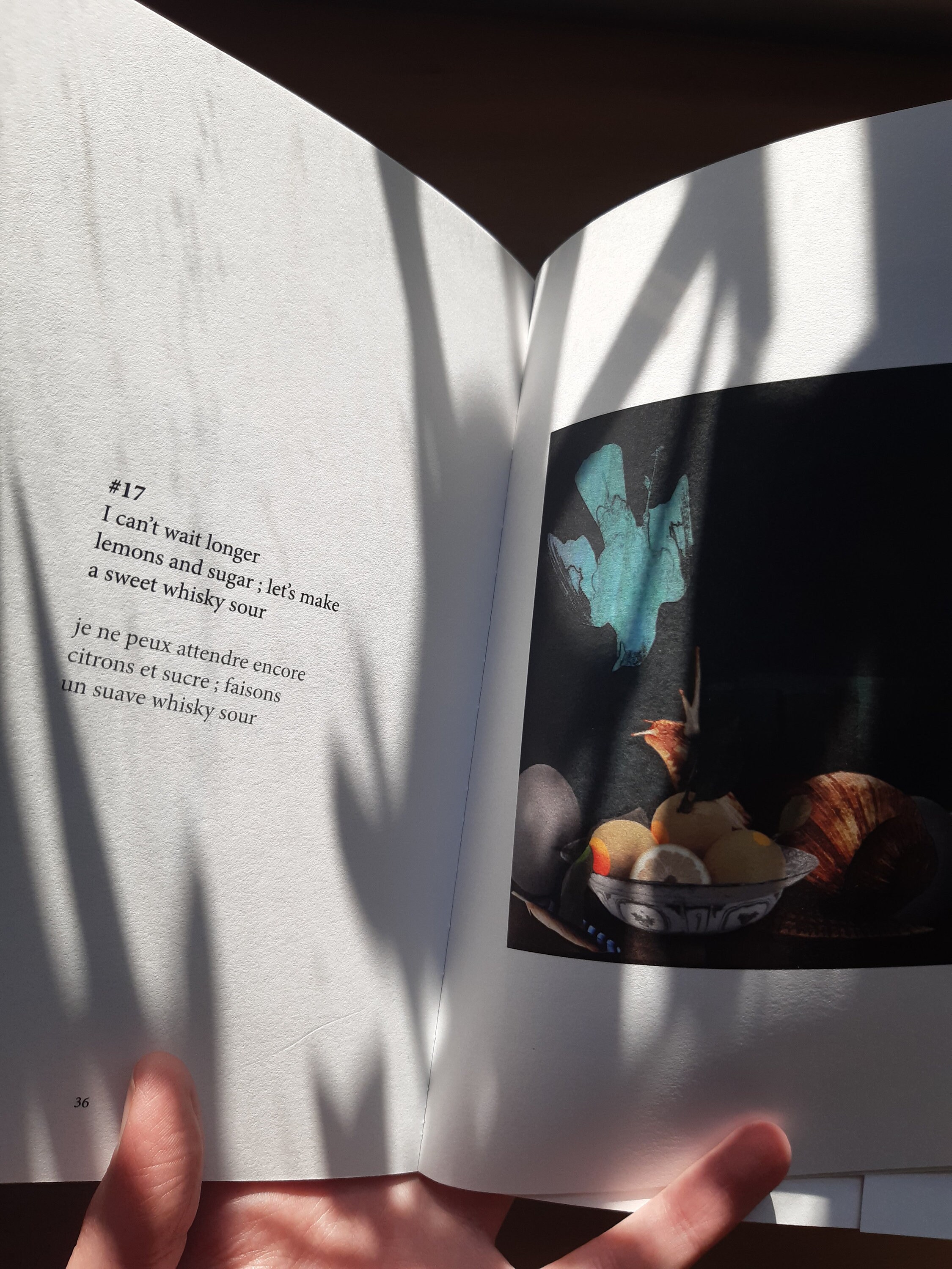 Quarantine Rhyme Confined Rhymes, Collection of Haikus Etsy