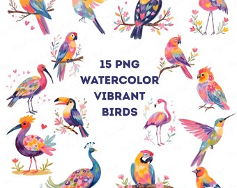 Watercolor Tropical Bird Clipart PNG Bundle: DIY Craft Graphics (Digital Download)