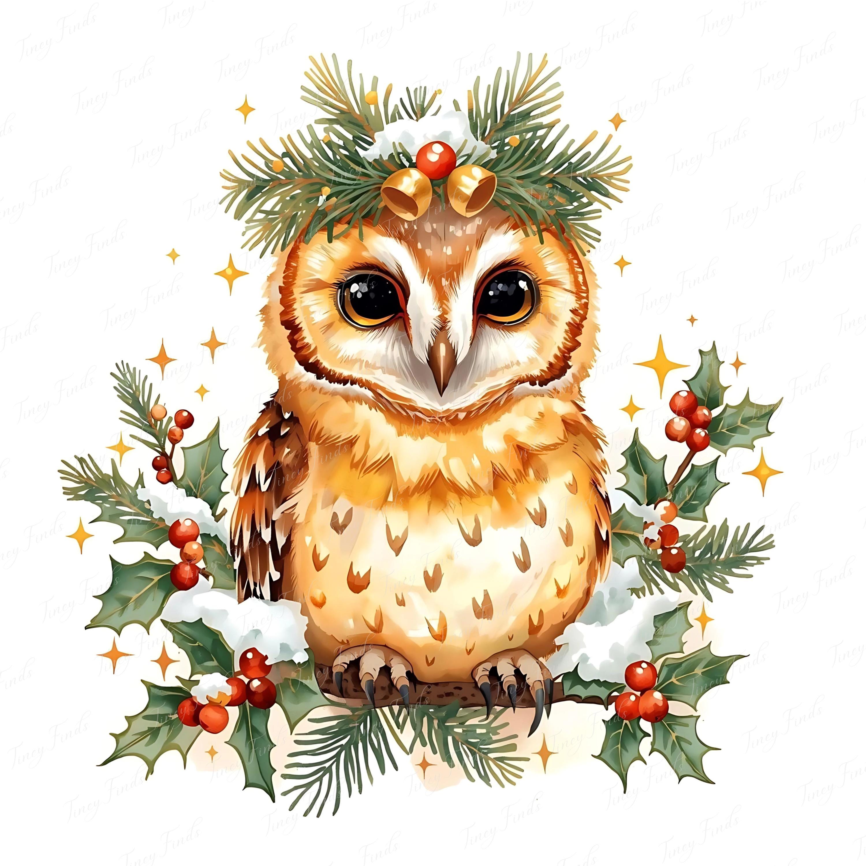 Woodland Christmas Owl Clipart | Festive Winter Owl Illustration | Holiday Animal Art | Watercolor O