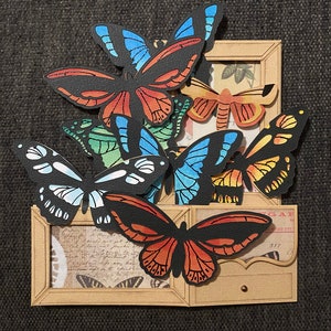 3D Pop Up Butterfly Box Card