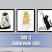 see more listings in the Bathroom cats section