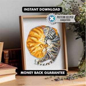 Motif de point de croix chats orange et tigré | Broderie de chat mignon PDF | Cadeau pour amoureux des chats | Chat drôle au point de croix | Chat à téléchargement numérique instantané